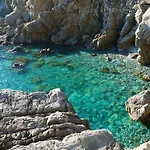 Il Cuore Di - * مونيلّي