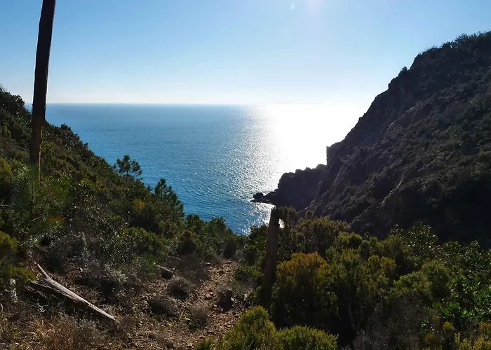 Il Cuore Di - * Moneglia